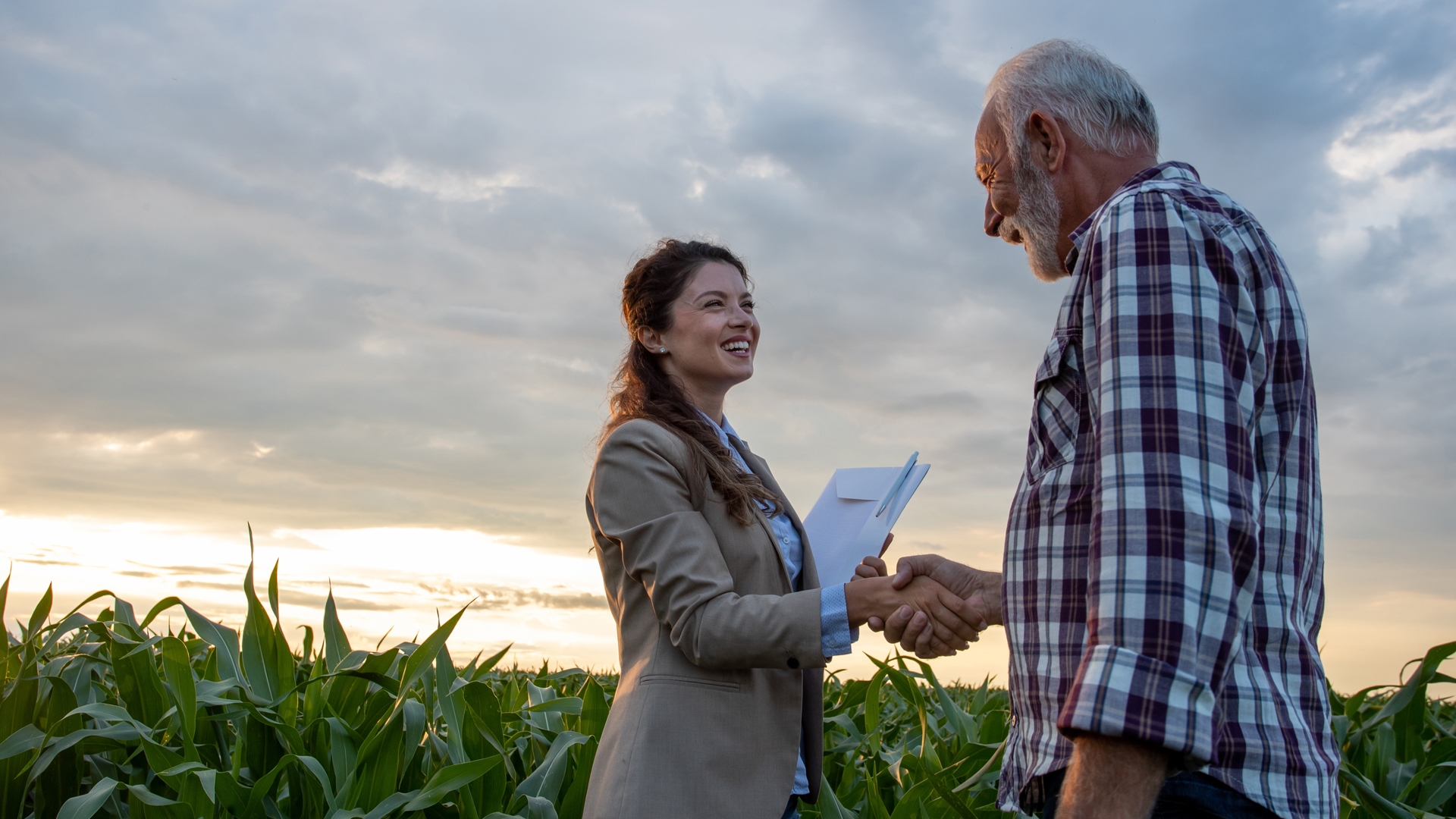 man and woman shaking hands in corn field