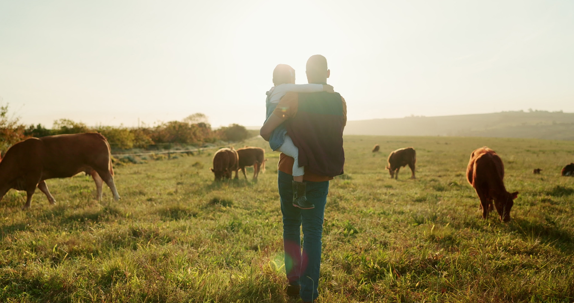 man holding child in field with cattle