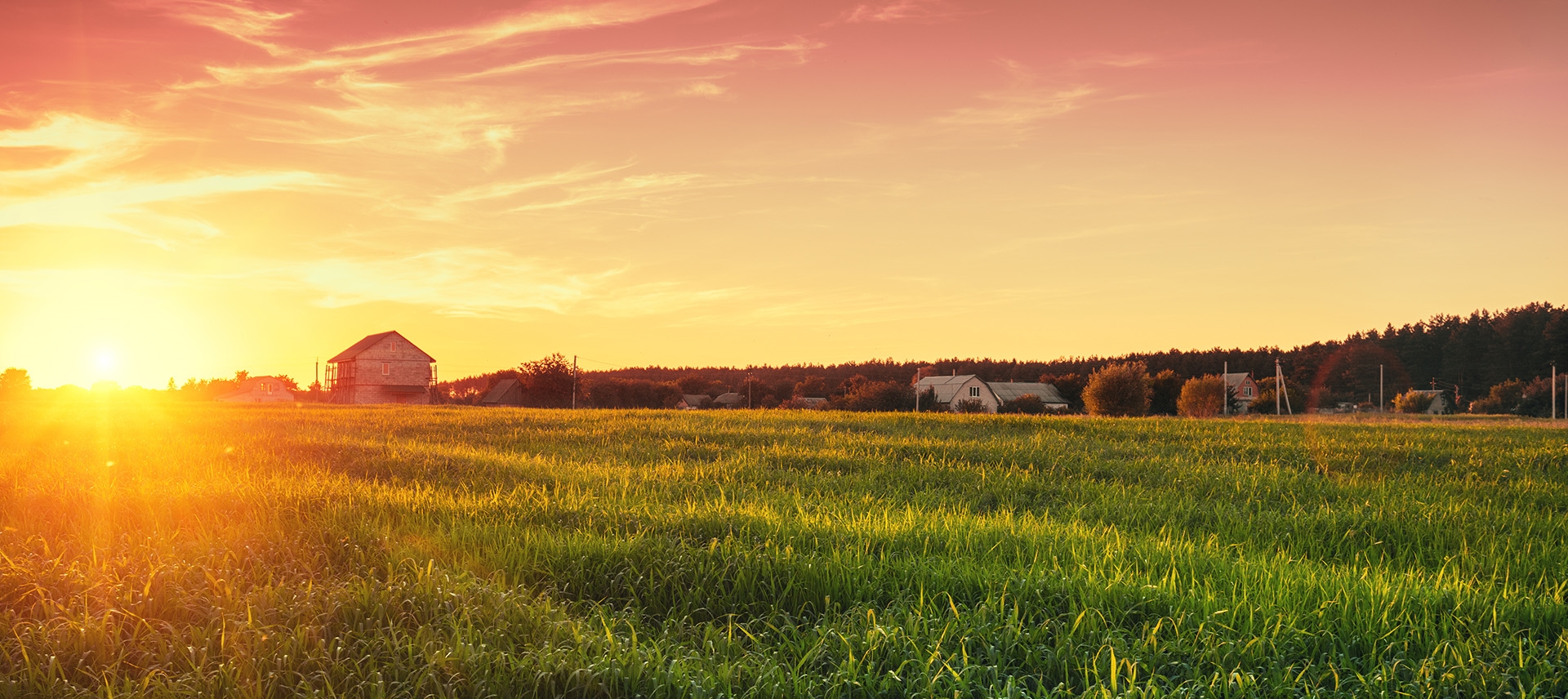 homestead during sunset
